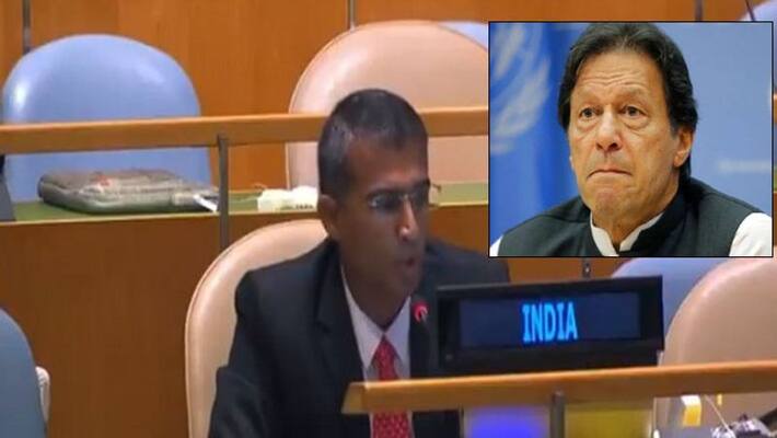 Pak PM glorifies terrorists like Laden as martyrs, India Reply at UNGA First Committee Pak PM glorifies terrorists like Laden as martyrs, India Reply at UNGA First Committee