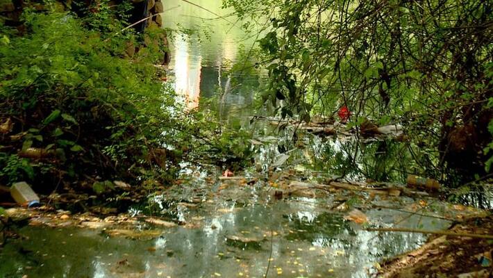 Human Rights Commission notice against Waste dumping in Meenachil River Human Rights Commission notice against Waste dumping in Meenachil River