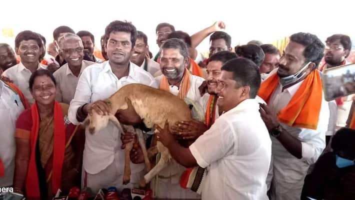 BJP annamalai twitter Oscar BJP annamalai twitter Oscar