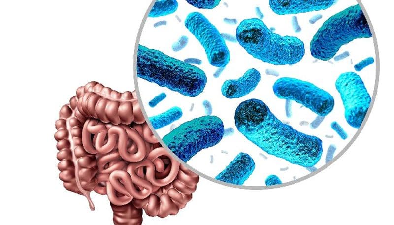 study says that as increasing age gut microbiome balance will change