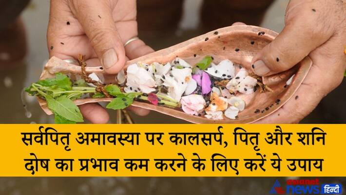 Shradh Paksha, Sarva Pitru Amavasya on 6th October, do these remedies for reducing inauspicious effect of Kal Sarp, Pitru and Shani Dosha Shradh Paksha, Sarva Pitru Amavasya on 6th October, do these remedies for reducing inauspicious effect of Kal Sarp, Pitru and Shani Dosha