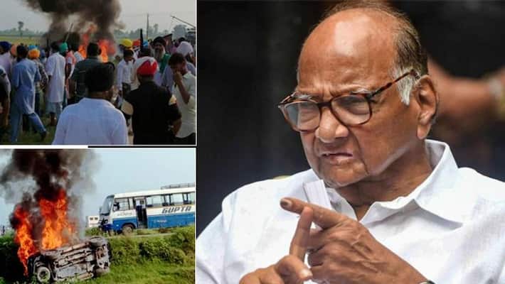 Lakhimpur violence, Sharad Pawar controversial statement Lakhimpur violence, Sharad Pawar controversial statement