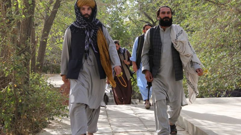 Taliban leader Anas Haqqani visited grave of brutal ruler Mahmud Ghaznavi and did controversial tweet about Somnath temple