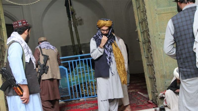 Taliban leader Anas Haqqani visited grave of brutal ruler Mahmud Ghaznavi and did controversial tweet about Somnath temple