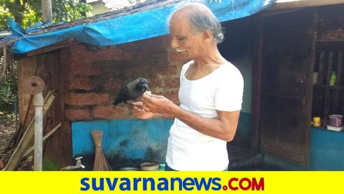 Crow closely Friendship With Human at Ankola in Uttara Kannada grg Crow closely Friendship With Human at Ankola in Uttara Kannada grg