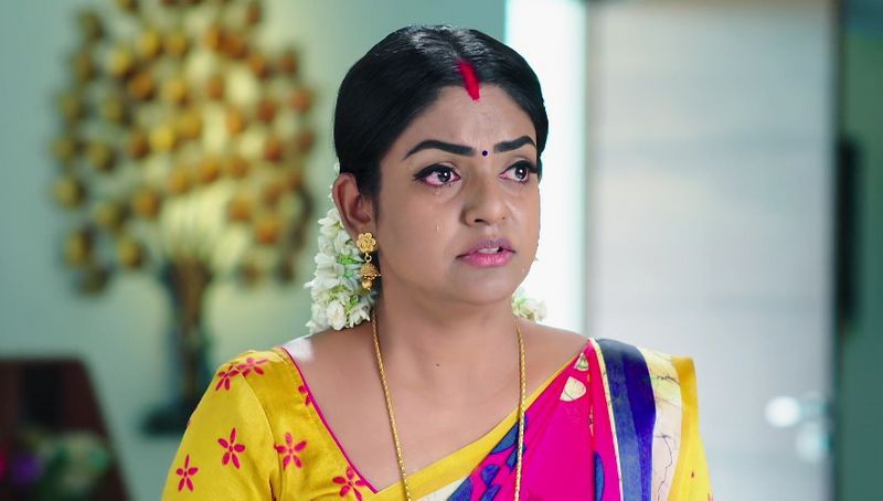Monitha ultimate shock to doctor babu and reveals her pregnancy infront of hima in todays karthika deepam serial episode