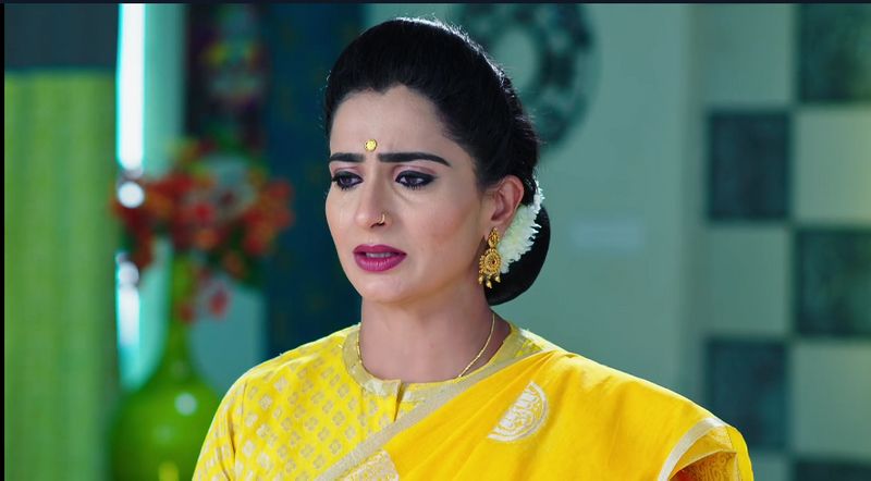 Monitha ultimate shock to doctor babu and reveals her pregnancy infront of hima in todays karthika deepam serial episode