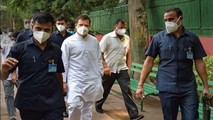 Lakhimpur Kheri violence: Congress delegation led by Rahul Gandhi arrives in Rashtrapati Bhavan-dnm Lakhimpur Kheri violence: Congress delegation led by Rahul Gandhi arrives in Rashtrapati Bhavan-dnm