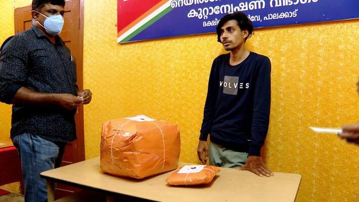 Cannabis poaching in the thiruvananthapuram again Police seized 60 kg of parcels from Andhra Pradesh Cannabis poaching in the thiruvananthapuram again Police seized 60 kg of parcels from Andhra Pradesh