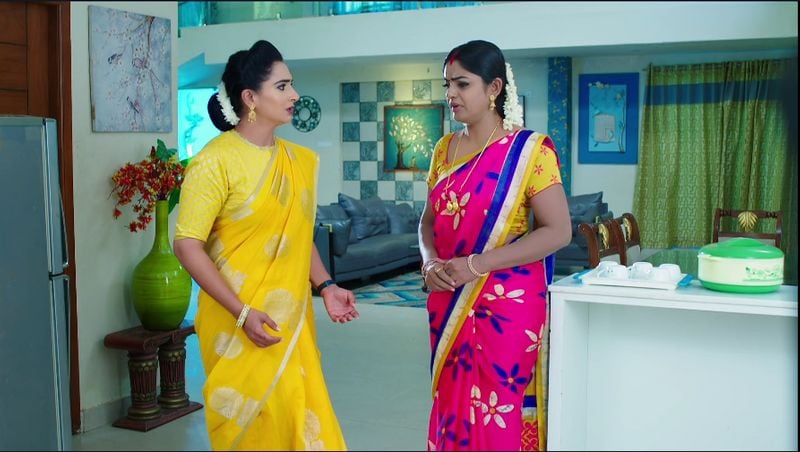 vantalakka alias deepa met with an accident in todays karthika deepam serial episode