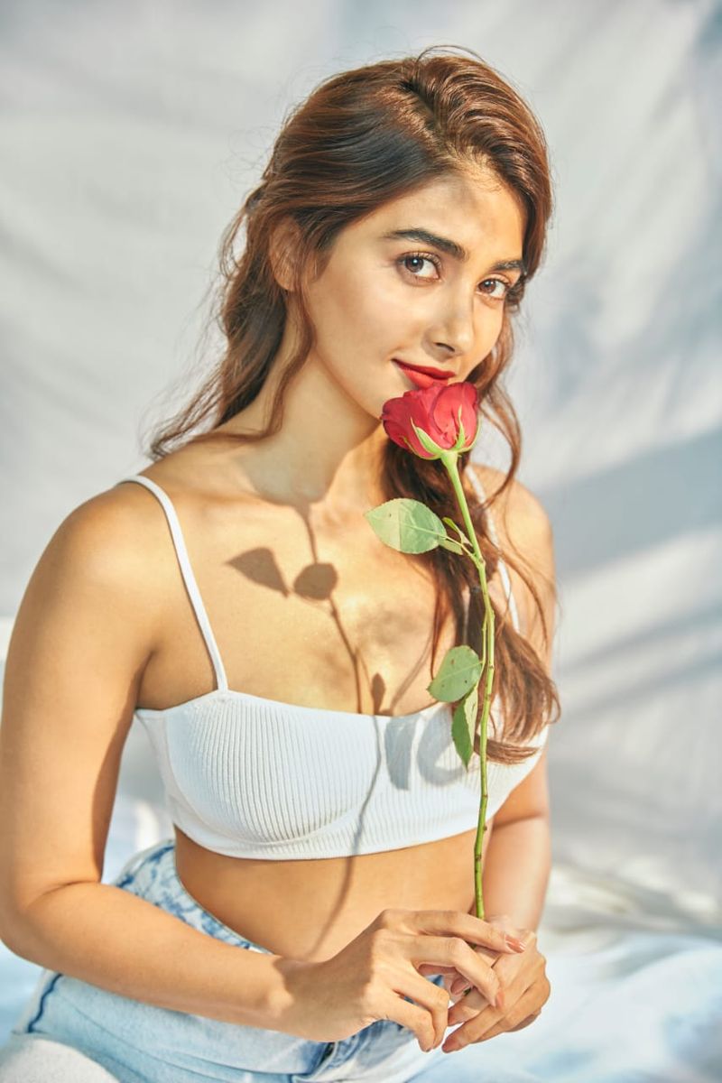 heroin pooja hegde feeling shy as she poses in inner wear