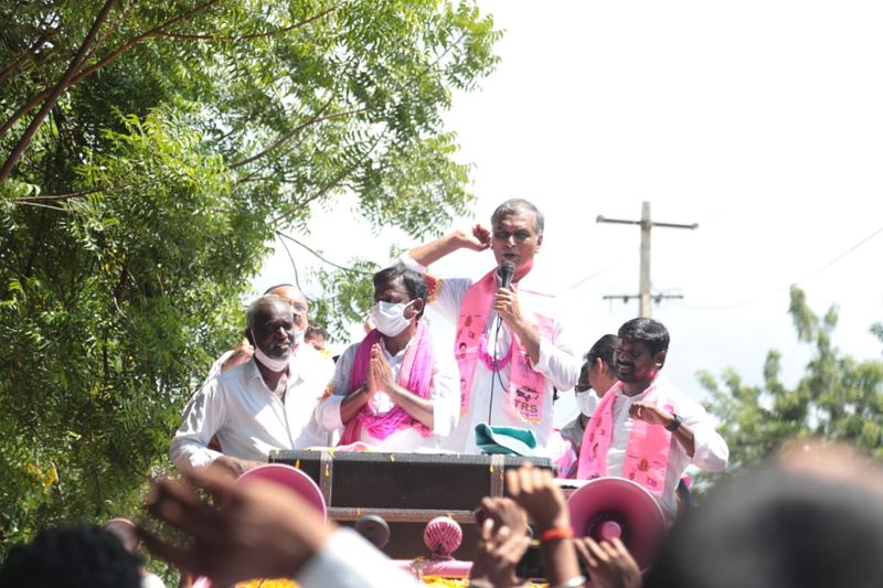 minister harish rao campaign at huzurabad bypoll