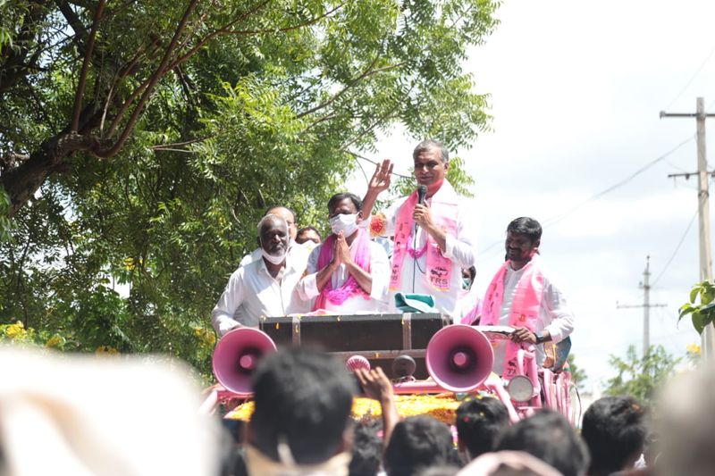 minister harish rao campaign at huzurabad bypoll