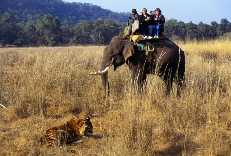 Jim Corbett National Park Will Not Be Renamed Uttarakhand Govt says