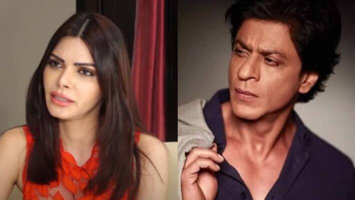 Sherlyn Chopra about Sharukh Khan hosted party Sherlyn Chopra about Sharukh Khan hosted party