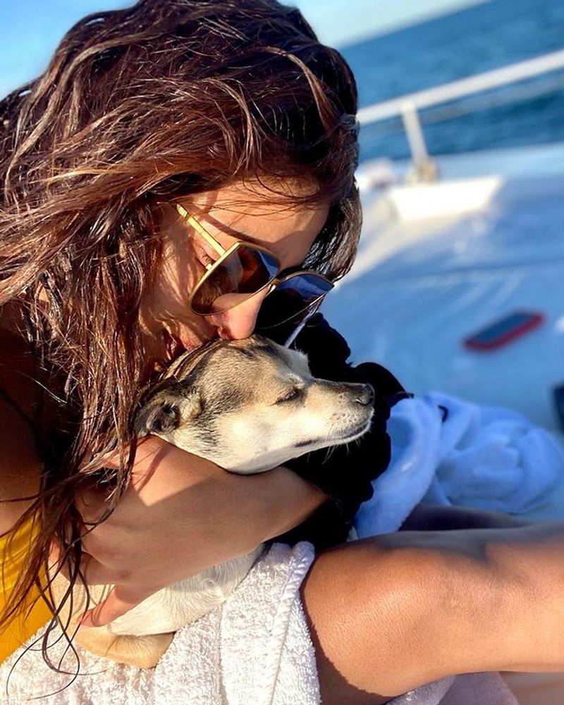 Priyanka Chopra hot poses in bikini, latest pics goes viral