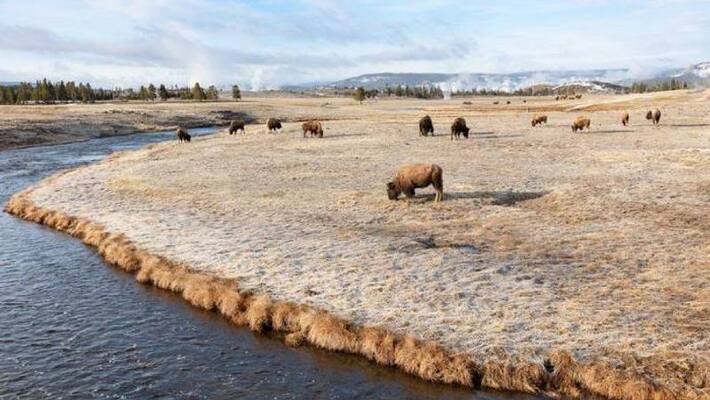 Woman burned from hot spring in Yellowstone National Park Woman burned from hot spring in Yellowstone National Park