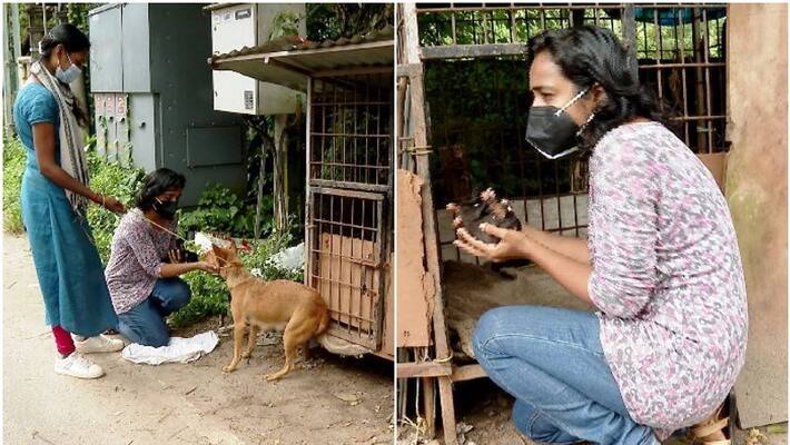 dog and children get help from two women in kozhikode dog and children get help from two women in kozhikode