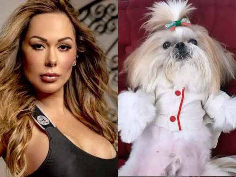 playboy model leave Rs 15 crore wealth to dog