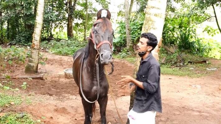 Investigation report says action should be taken against the policeman who smashed the horse's eye Investigation report says action should be taken against the policeman who smashed the horse's eye
