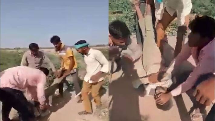 rajsthan Youth lynched in Hanumangarh, BJP targets Congress by sharing video rajsthan Youth lynched in Hanumangarh, BJP targets Congress by sharing video