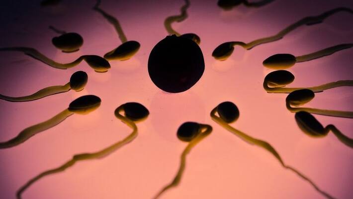 Sperm quality decreases rapidly when men hit this age say researchers Sperm quality decreases rapidly when men hit this age say researchers