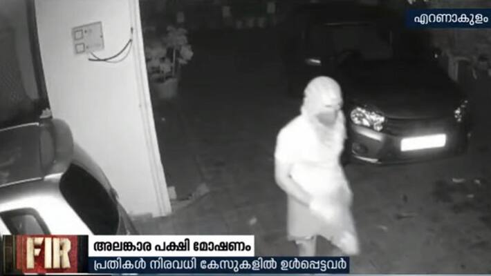 costly fancy birds theft from ernakulam home police caught three costly fancy birds theft from ernakulam home police caught three