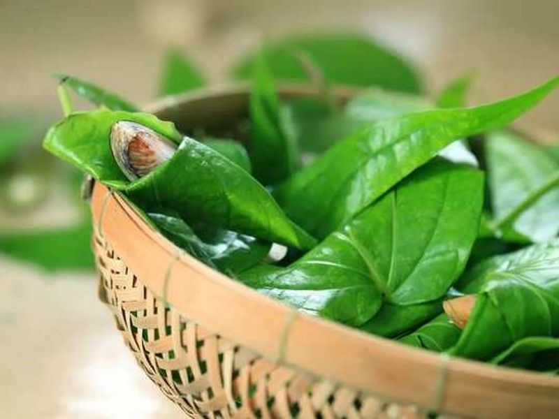 Follow this eight effective health tips for good health