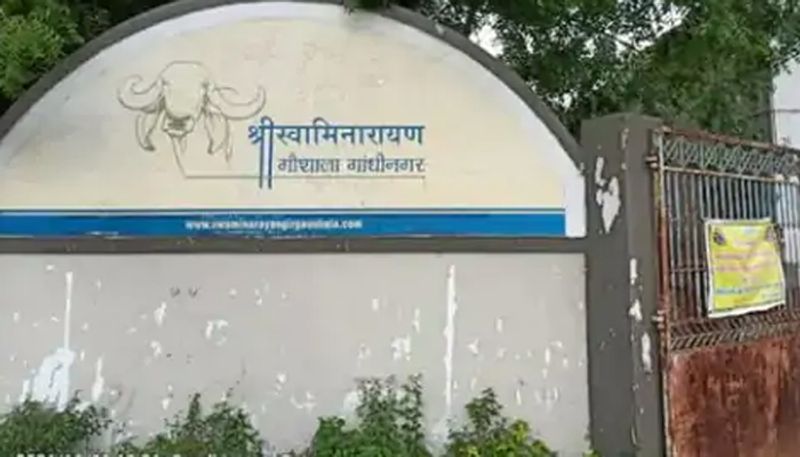 shocking crime gujarat news Father left one and a half year old child unattended after killing his mother in gandhinagar