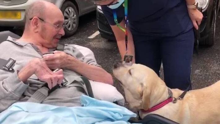 man with dementia reunited with his dog after two years man with dementia reunited with his dog after two years