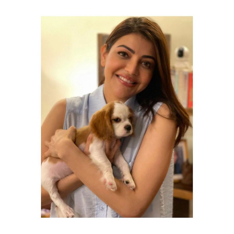 kajal aggarwal introduces new member to her family