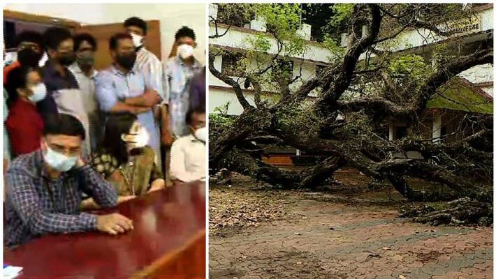 maharajas college tree felling enquiry commission appointed maharajas college tree felling enquiry commission appointed