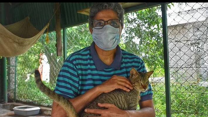 mini rescued over 65000 animal mini rescued over 65000 animal