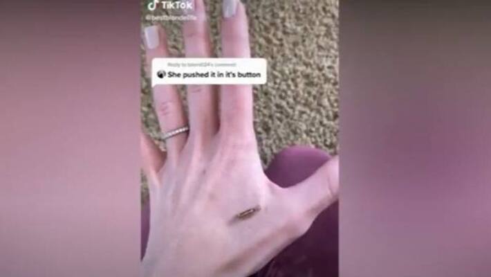 chip girl who implanted a chip in her hand chip girl who implanted a chip in her hand