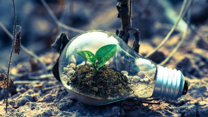 inspired by soil pollution in india israeli researchers develop technique to clean the soil of metal inspired by soil pollution in india israeli researchers develop technique to clean the soil of metal