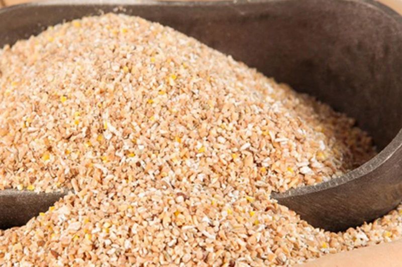 Healh Tips, these 5 foods are beneficial for the body in illness