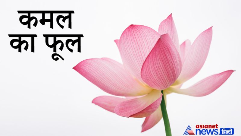 Navratri 2021, know life management tips from durga maa weapons