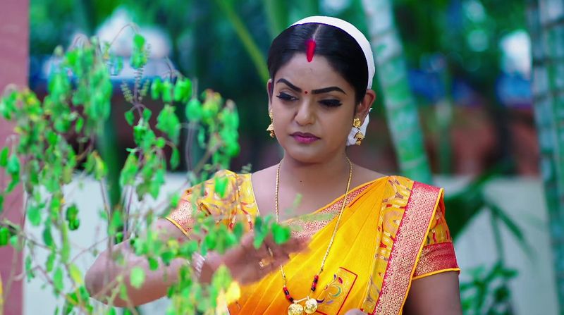 hima suffers from seviour fever in todays karthika deepam serial episode