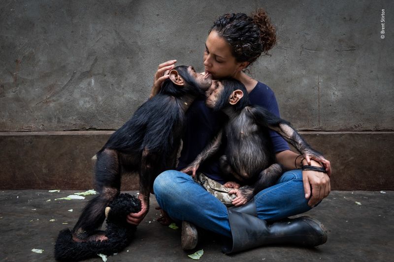 Laurent Ballesta Won Wildlife Photographer of the Year award 2021