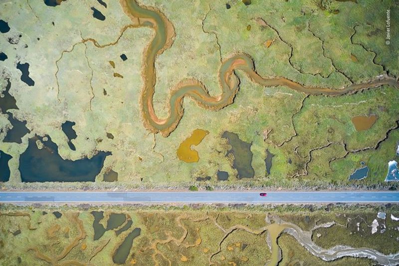 Laurent Ballesta Won Wildlife Photographer of the Year award 2021
