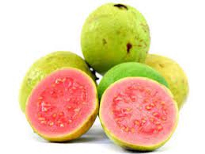 guava fruit health benefits and health problems full details are here