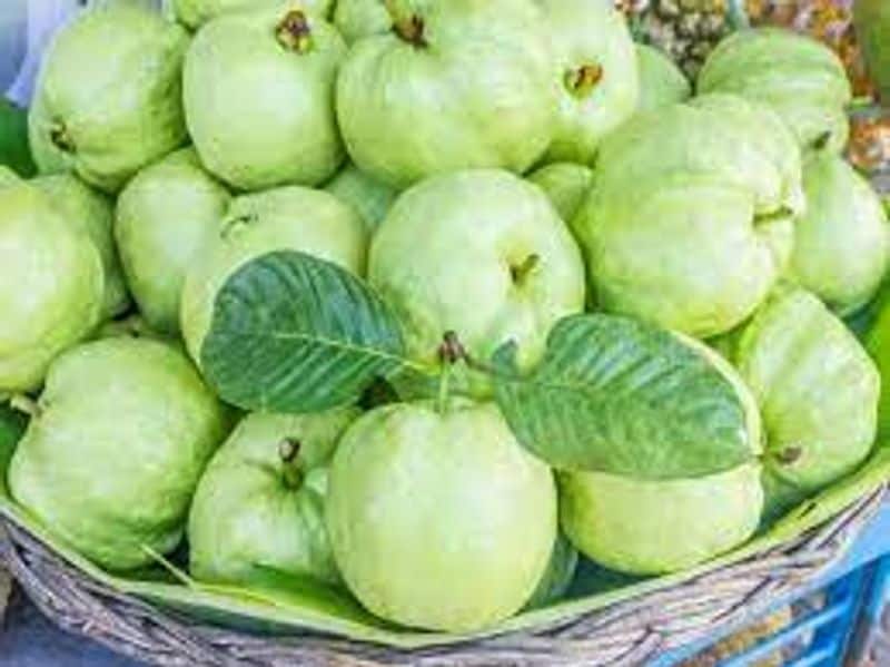 guava fruit health benefits and health problems full details are here