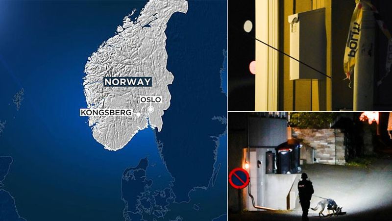Norway five people killed and two injured in bow and arrow attack in Kongsberg