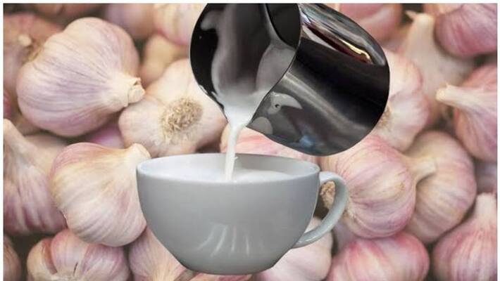 Do you know what are the disadvantages of drinking garlic in milk? Do you know what are the disadvantages of drinking garlic in milk?