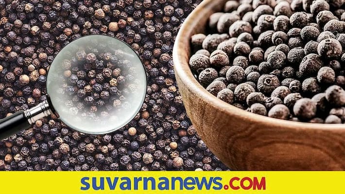 Pepper Price Reaches 50 thousand per quintal after 6 years in karnataka snr Pepper Price Reaches 50 thousand per quintal after 6 years in karnataka snr