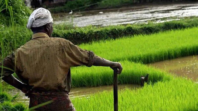 97 crore relief for rain damage crops said minister mrk panneerselvam