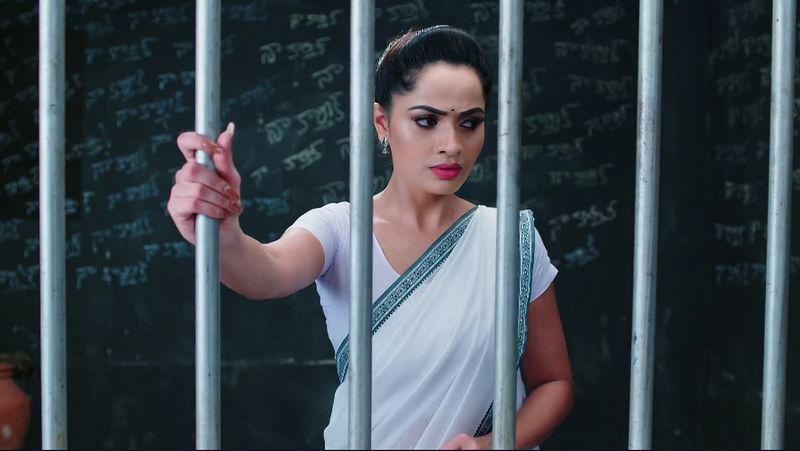 Karthik breaks down after over hearing hima's words In todays karthika deepam serial episode