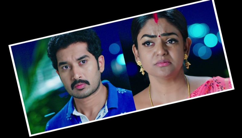 Karthik breaks down after over hearing hima's words In todays karthika deepam serial episode