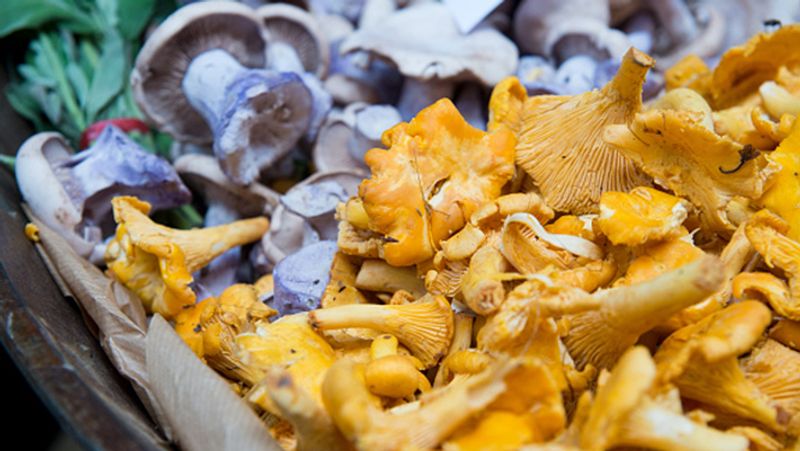 Study reveals that eating mushrooms reduces the risk of depression