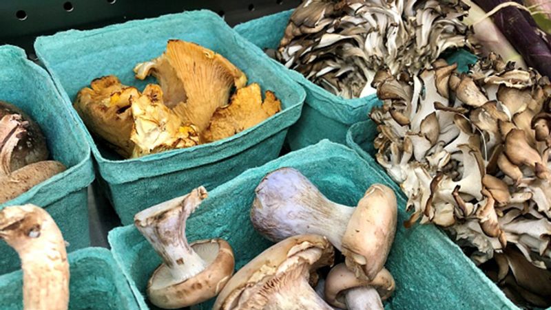 Study reveals that eating mushrooms reduces the risk of depression